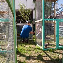 2019 - Pouťová výstava drobného zvířectva